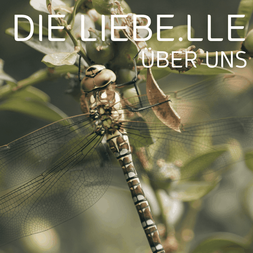 Porträt einer Libelle in natürlicher Umgebung – Das Herz von Die Liebelle stellt sich vor