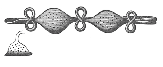 Fig. 52. Fibula seen from above. Hoard in the Coste di Marano, near Tofla, province of Rome.