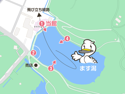 升潟とますがた荘周辺の白鳥鑑賞マップ（新潟県新発田市五十公野）