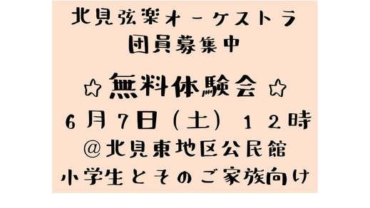 バイオリンと初心者セット
