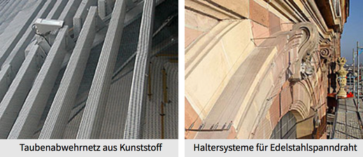 Netzabwehr Tauben
