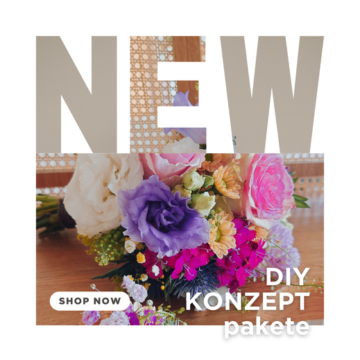 noé und eve, Konzeptpaket, neu, DIY professionelle Dekoration
