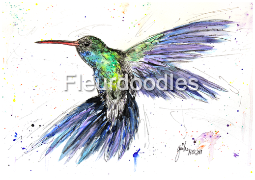 Kolibri, Vogel, Tiermalerei, Tierportraits, Tierbilder kaufen, Bleistift, Pastellkreide, Tiere in Aquarell, Tiermaler, Gemälde Tiere modern, Bilder Wohnung, Kunstdrucke, Poster, Leinwand, Drucke, Original Kunst, Bodo Meier, Maike Geller, Fleurdoodles