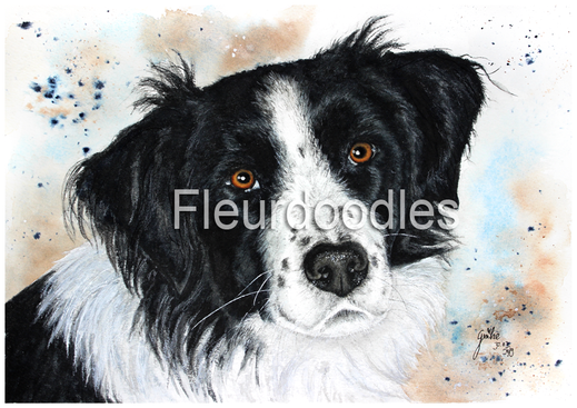 Hund, Tiermalerei, Tierportraits, Tierbilder kaufen, Ölgemälde, Bleistift, Pastellkreide, Tiere in Aquarell, Tiermaler, Gemälde Tiere modern, Bilder Wohnung, Kunstdrucke, Poster, Leinwand, Drucke, Original Kunst, Bodo Meier, Maike Geller, Fleurdoodles