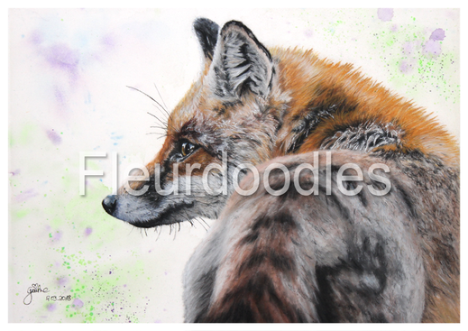 Fuchs, Tiermalerei, Tierportraits, Tierbilder kaufen, Ölgemälde, Bleistift, Pastellkreide, Tiere in Aquarell, Tiermaler, Gemälde Tiere modern, Bilder Wohnung, Kunstdrucke, Poster, Leinwand, Drucke, Original Kunst, Bodo Meier, Maike Geller, Fleurdoodles