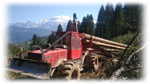 Tracteur forestier en action de débardage