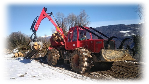 Tracteur forestier en action de débardage