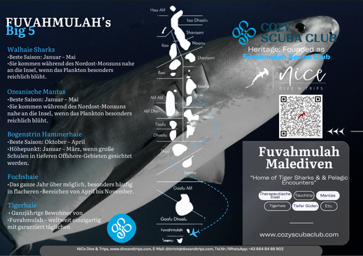 Fuvahmulah Tigerhaie