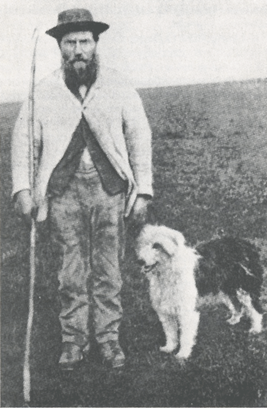 1864: Pastore con un Bobtail. Tratto dal libro di Tullio Mille "Il Bobtail"