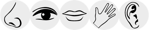 INNER COACH - Hilfe für hochsensible Menschen. Coaching, Gesprächstherapie. Tagesesminar, Seminar, Gruppencoaching, Kurs und Tipps bei Hochsensibilität. In Zürich Oerlikon und Zürich Oberland / rechtes Zürichsee-Ufer / Volketswil / Uster