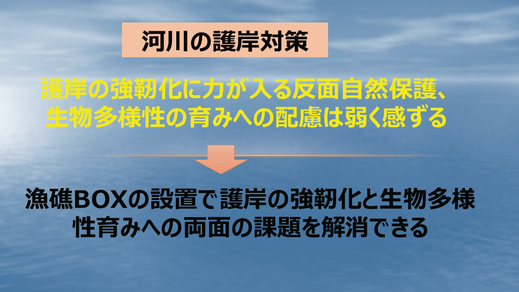 スライド画像：「河川の護岸対策」 護岸の強靭化に力が入る反面、自然保護、生物多様性の育みへの配慮は弱く感ずる