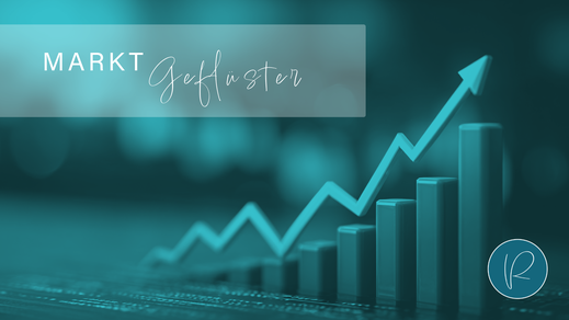 Tipps wie du deine eigenen Finanzen besser im Griff und unter Kontrolle hast, mit Budgetplan und Sparzielen
