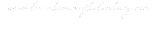 De website van lienekevaneijkelenburg!