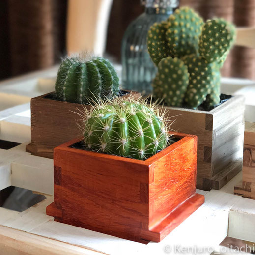 ヴィンテージ✨プリンス・エドワード島の樹木で手作りされた、珍しい