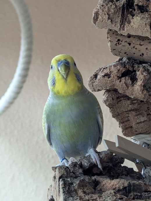 Das bin ich. Luk.