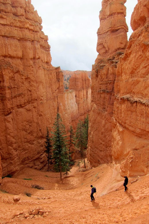 Bryce Canyon Wanderung Queens Garden Navajo Loop Trail