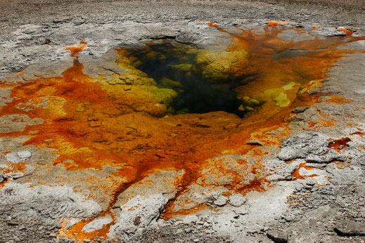 Hot springs of the Upper Geyser Basin in Yellowstone, colorful hot springs