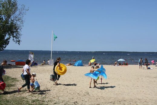 baignade en eau douce dans le lac de Biscarrosse