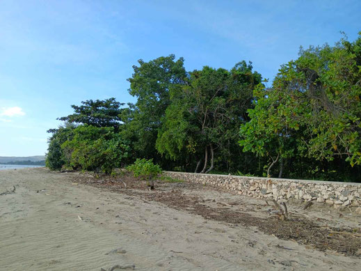 East Sumba land for sale