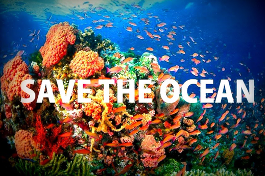 Santi Tour engagiert sicch für den Schutz des Meeres