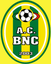BNC Noi Calcio / Verona