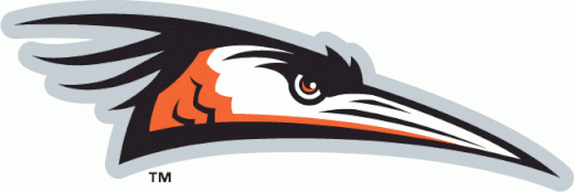 Il logo degli Shorebirds Delmarva