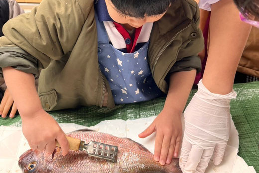 リトミックをする幼児