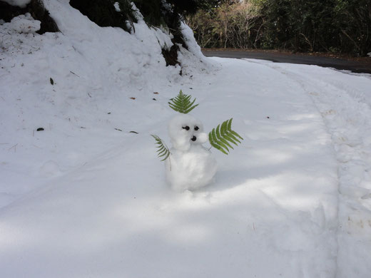 雪だるま監督が消えていました。・・