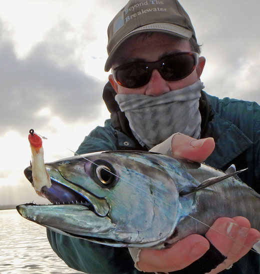 Bonito on Crease Fly from San Diego Bay