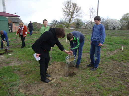 Дерева в саді