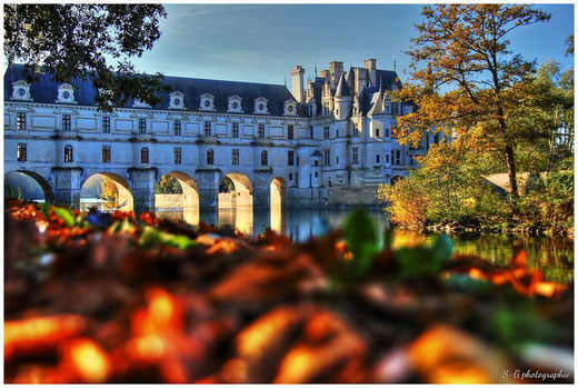 les couleurs-automne-Vallée de la Loire, France