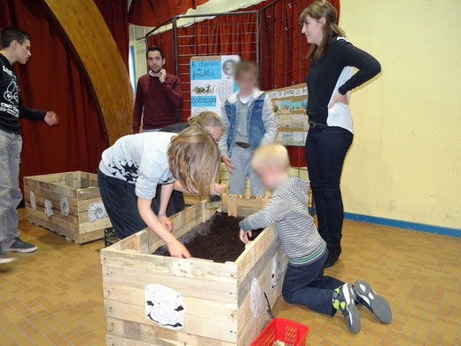 Le chantier de fouilles