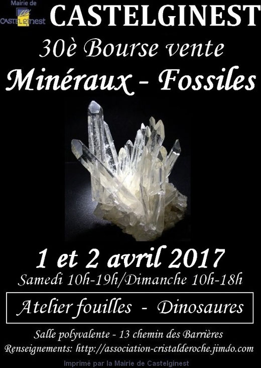 30è Bourse vente : 1 et 2 avril 2017 à la Salle Polyvalente de Castelginest