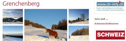 skifahren bauernhof schweiz