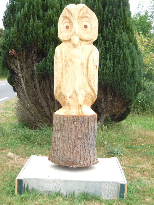 Une chouette sur un tronc d'arbre- Photo: Gégé d'Oisemont