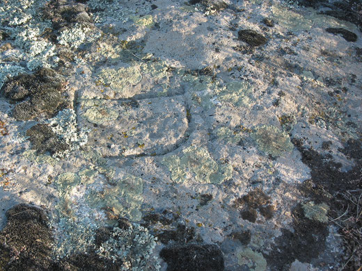 Noddu Odducaccaru - Petroglifo nella Roccia