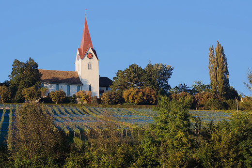 Kirche Zch-Höngg