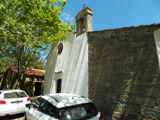 La chiesa campestre 'Sta. Maria de Sauccu'