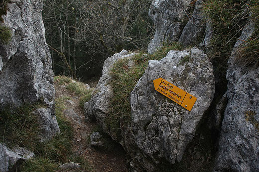 Sentier d'accès à la grotte Cave Noire / Aiguilles de Baulmes