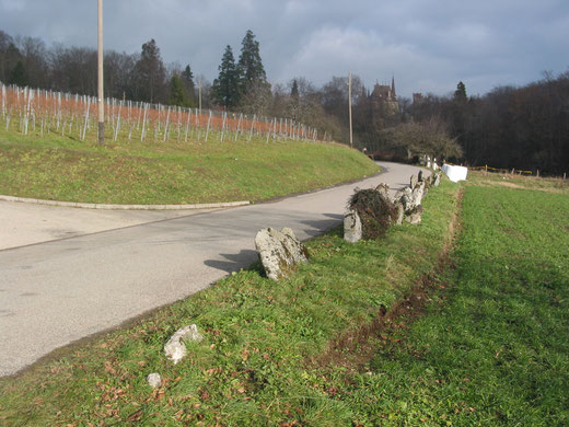 Mit Steinblöcken markierter Weg, der zum Schloss Gorgier NE (früher mittelalterl. Burg) führt. Steine vermutlich von einem Steinkreis stammend.