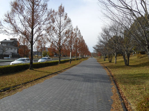 広い歩道
