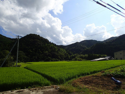 研修先周辺は、自然豊かな山間部です。