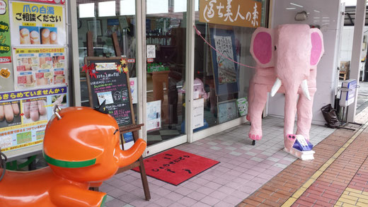 富士本町の薬局の象