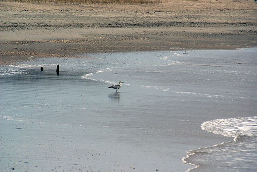 Hvidbjerg Strand