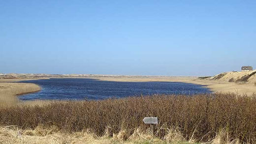 Blick zur südlichen Spitze des Ringkøbing Fjords