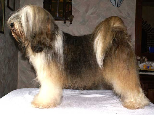 Milka in Pose - 23. Oktober 2012