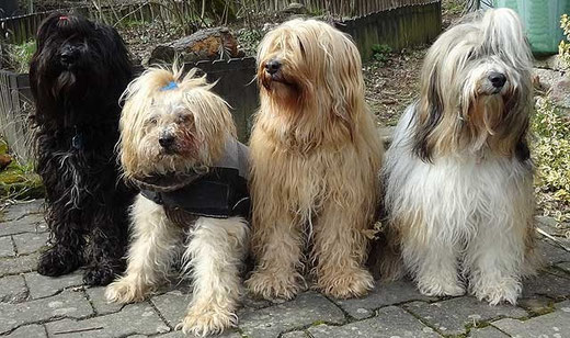 Meine Mädels
