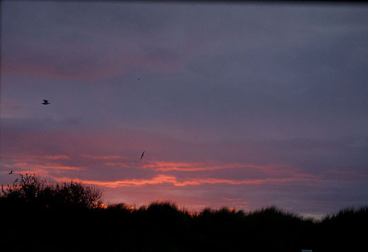 Sonnenaufgang am Morgen der Abreise