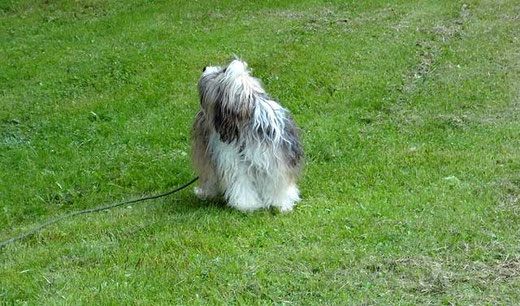 Wo ist der Futterbeutel?