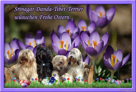 Srinagar-Danda-Mädels Ostern 2013